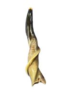 1 Shofar en corne d'éland, corne d'antilope, corne de cerf, corne à mâcher pour chien, entièrement poli (les tailles varient - une belle corne peut avoir une longueur de 22 pouces).