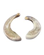 1 shofar en corne de bélier entièrement poli (les tailles varient - Environ 22 po autour de la courbe)