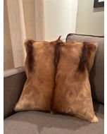 Housse de coussin en peau d'antilope Springbok - Taille : 17 po x 17 po