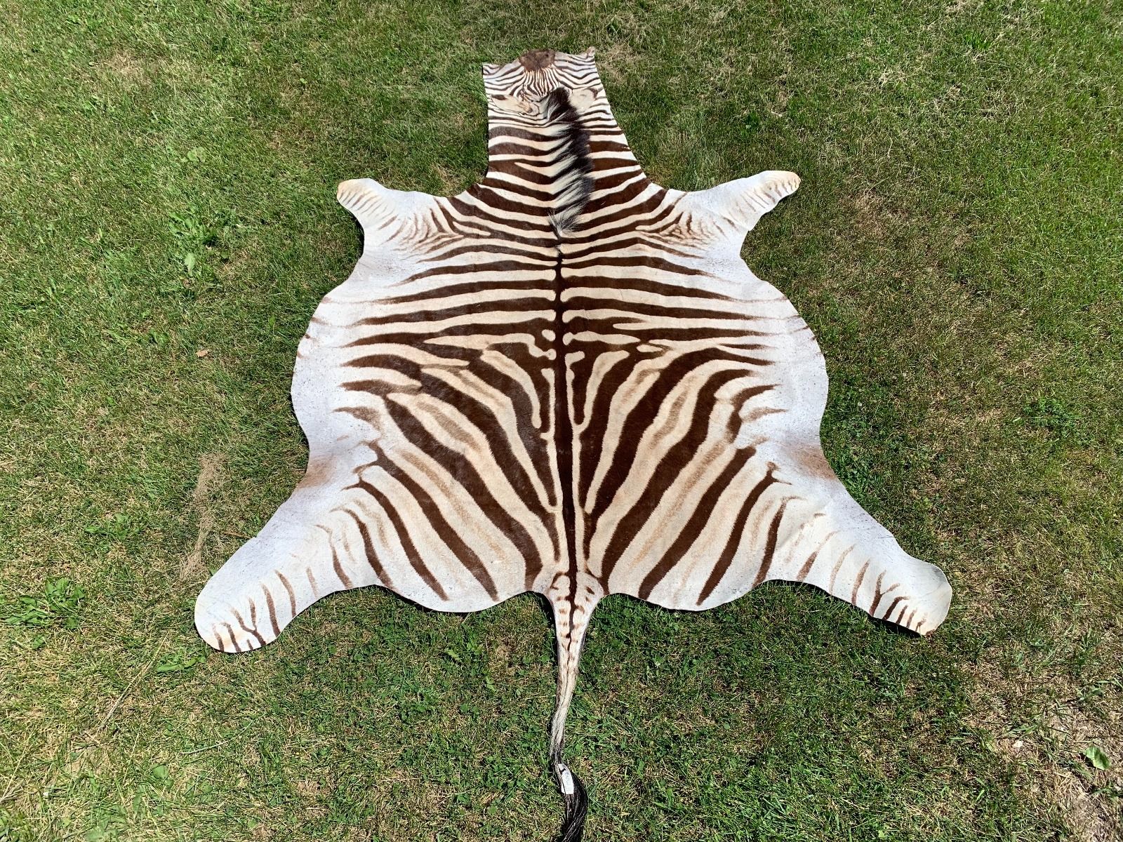 Genuine Zebra Skins