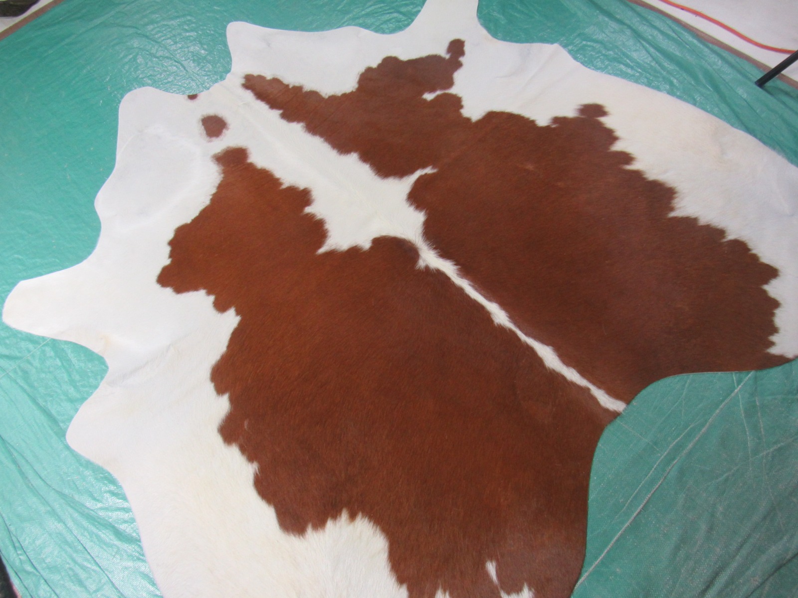 We are a Canadian owned & operated home decor company specializing in